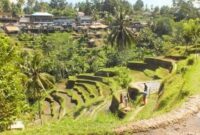 1764738495520-102a9b68-1c5a-4047-a2d0-e82c8b71e054_169