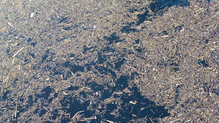 1764738501922-sampah-kayu-gelondongan-pascabanjir-bandang-di-solok-1764558874458_169