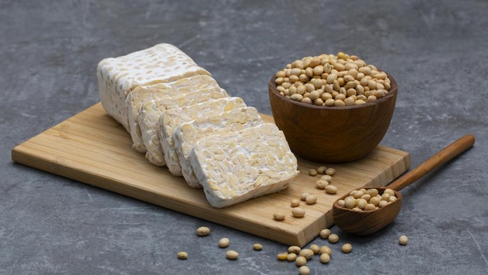 1764738503536-ilustrasi-tempe-1740977606786_169