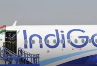 1765019325218-0fba82c2-ff82-4427-bc04-56426432ca1e_169