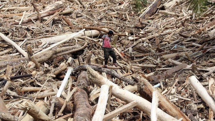 1765213663287-sampah-kayu-gelondongan-banjir-bandang-di-tapanuli-selatan-1764423757136_169