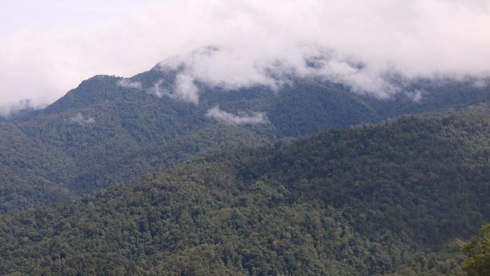 1765256965031-b2998de3-4ba9-44a7-863e-58bbc0510516_169