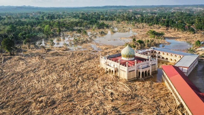 1765300014109-lautan-kayu-di-aceh-tamiang-erlangga-bregas-prakoso-antara-1765205716876_169