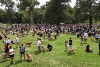 1765321497803-argentina-dogsrecord-1765270301685_169