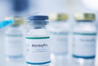 1765364862556-ilustrasi-vaksin-monkeypox-mpox-atau-cacar-monyet_169