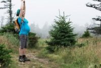 1765516064956-8659572e-7484-4218-9961-89f25fc71670_169