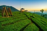 1765559282855-wayang-windu-panenjoan_169