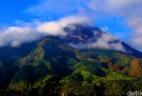 1765559284344-3c841b7b-d284-4258-8496-0cdb23d44d45_169