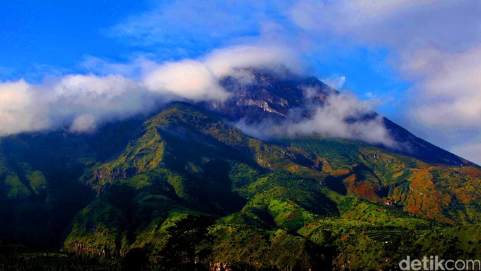 1765559284344-3c841b7b-d284-4258-8496-0cdb23d44d45_169