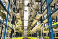 1765602391712-ugc-dtravelers-detiktravel-1765584535396