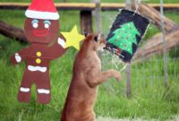 1765602393241-christmas-seasoncolombia-zoo-1765518311297_169