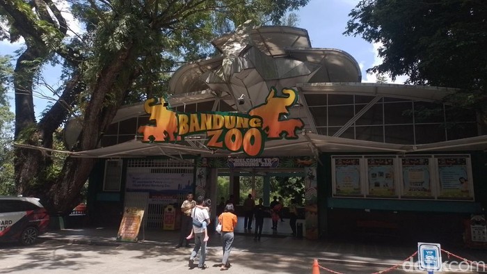 1765645754708-suasana-bandung-zoo-di-h-1-lebaran-1743318398307_169
