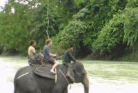 1765688842949-tangkahan_169