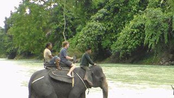 1765688842949-tangkahan_169