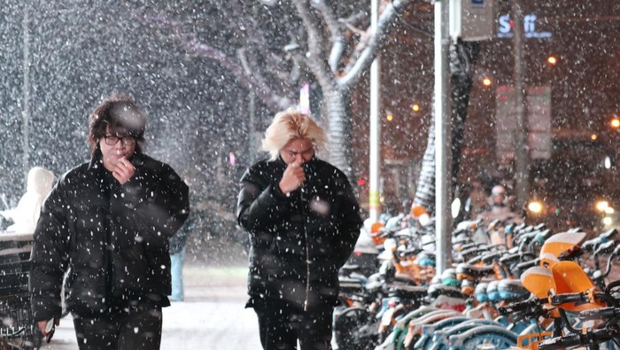 1765732024712-salju-perdana-musim-dingin-selimuti-beijing-1765633226009_169