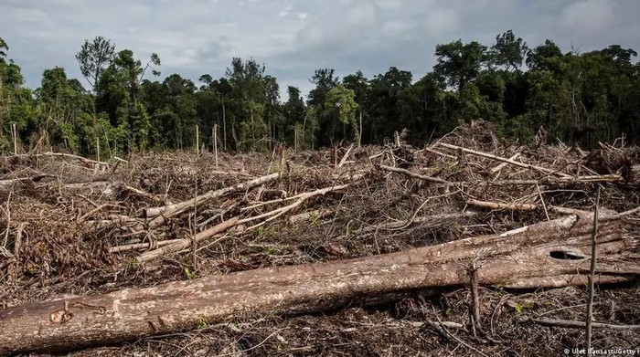 1765775397035-pemandangan-lahan-yang-baru-saja-dibersihkan-untuk-perkebunan-kelapa-sawit-di-hutan-lahan-gambut-di-dalam-ekosistem-rawa-gambu-1765417565309_169