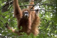 1765796815008-b590ed92-88cc-40ed-b96c-ed198543fa70_169