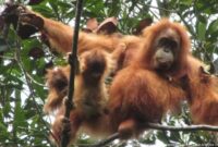 1765796822265-df6e54d0-0be3-4c9c-8388-f3c06aed2e83_169