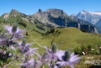 1765818523150-mendaki-pegunungan-alpen-dari-desa-murren-swiss-2_169