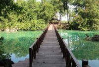 1765861704750-pulau-kakaban-berau-1765850007968_169