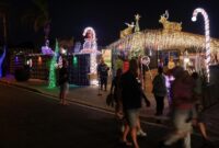 1765904836022-kilau-lampu-natal-ubah-rumah-jadi-destinasi-liburan-1765873235418_169