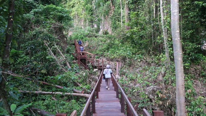 1765991409088-gua-gumantung-di-maratua-1765964414145_169