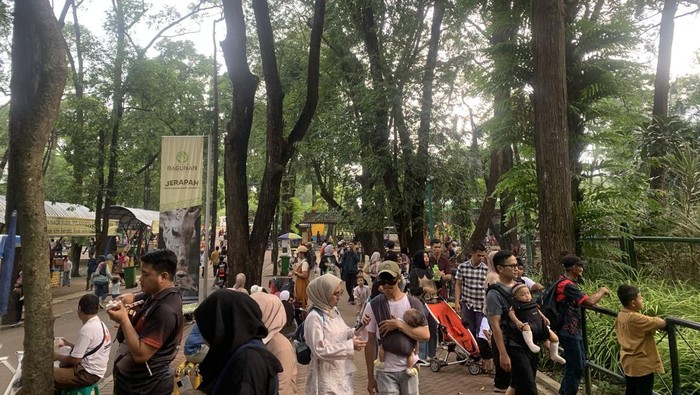1766034511612-suasana-taman-margasatwa-ragunan-sore-ini-sabtu-11102025-1760172388817_169
