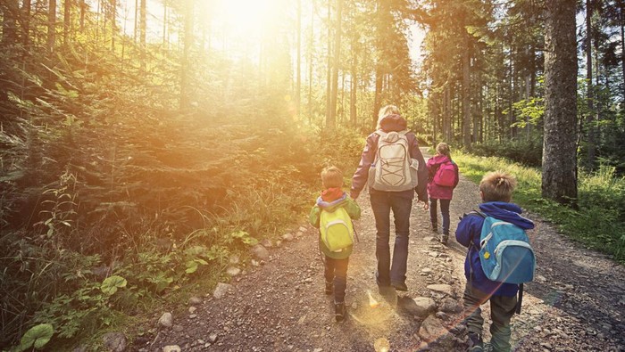 1766077656774-ilustrasi-tempat-wisata-di-lembang_169