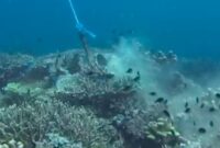 1766077662348-jangkar-rusak-terumbu-karang-1761548934357_169