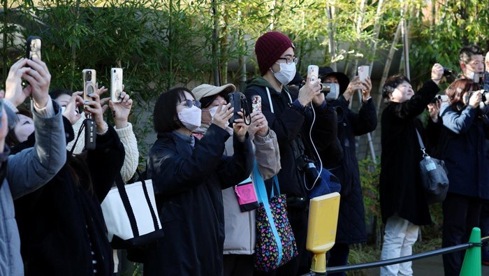 1766099112587-perpisahan-penuh-haru-panda-terakhir-jepang-segera-pulang-ke-china-1765965205144_169