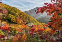 1766142566519-hwadam-botanic-garden-1759968119877_169