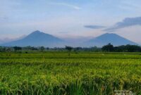 1766229000241-ugc-dtravelers-detiktravel-1766214360971