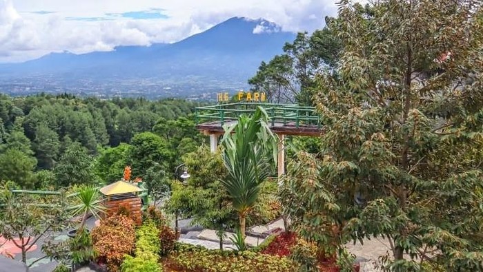 1766747201087-the-farm-pancawati_169