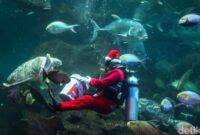1766768883591-atraksi-sinterklas-bawah-laut-meriahkan-libur-natal-1766735070996_169