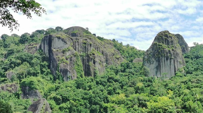 1767006438007-menengok-cantiknya-krisan-dan-menikmati-coklat-banyu-langit-di-yogyakarta-1_169