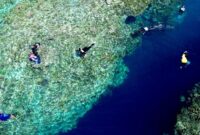 1767330599636-liburan-tahun-baru-di-taman-laut-olele-1767279604168_169