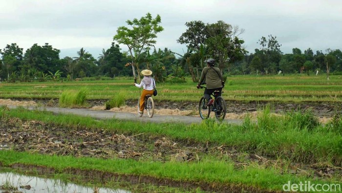 1767352104683-sejuknya-udara-persawahan-di-desa-wisata-bilebante-lombok_169