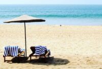 1767373586047-da34335d-4714-4ed7-beea-05ddecaaf0cd_169