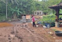 1767459976915-lokasi-ditemukan-jejak-harimau-1767345301297_169