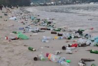 1767460042068-pantai-patong-diselimuti-sampah-1767345850666