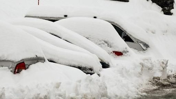 1767848843924-80d49d92-3f60-4855-883b-41e7a1f7f6cb_169