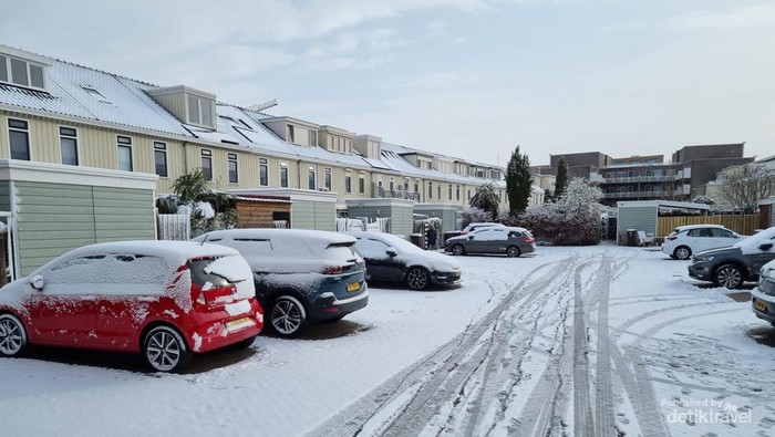 1767870460009-salju-april-mop-saat-musim-semi-di-belanda-5_169