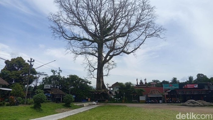 1767892046343-cerita-magelang-1767770057408_169