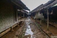 1767935219623-melihat-lebih-dekat-rumah-adat-suku-baduy-2_169
