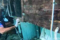 1767935287593-tangkapan-layar-penyelam-menyusuri-bagian-dalam-bangkai-kapal-pinisi-putri-sakinah-yang-terdampar-di-pantai-pede-pulau-komodo--1767712175946_169