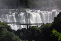 1768151214535-09523ab1-5d21-4dd9-b094-3a3a330190a6_169