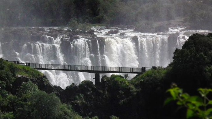 1768151214535-09523ab1-5d21-4dd9-b094-3a3a330190a6_169