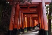 1768194445645-a0ca367f-9018-4d13-8c77-89c7785fc853_43