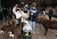 1768453641831-pesona-taman-nara-rusa-liar-ramai-disambangi-wisatawan-1768372507634_169