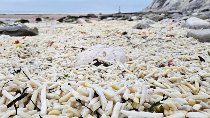 1769080104567-pantai-east-sussex-di-inggris-tertutup-french-fries-1768983379953